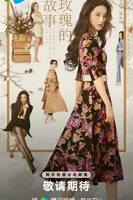 皇家律师 第一季 2011 电视剧海报 久久都是精品电视剧